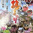 荒子梅園のお祭りに行ってきました